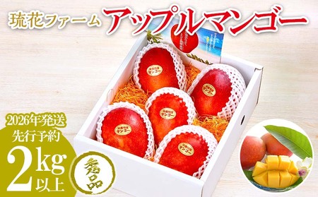 マンゴー【2026年発送先行予約】アップルマンゴー秀品2kg以上