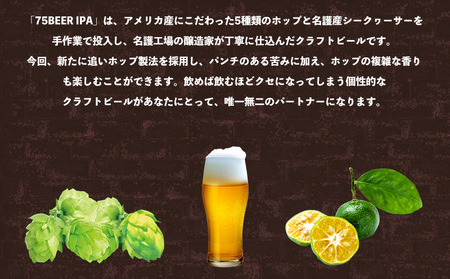 《名護市限定返礼品》オリオンプレミアムクラフト75BEER《ナゴビール》IPA 350ml×24本 オリオンビール クラフトビール プレミアム 美味しい 上質 人気 飲料 お酒 アルコール 贈り物 ギフト プレゼント 贈答 おすすめ 1ケース 350ml 父の日 お祝い 敬老の日 限定品