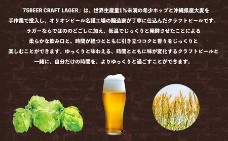 《名護市限定返礼品》75BEER《ナゴビール》CRAFT LAGER350ml缶×24本入 オリオンビール クラフト プレミアム 美味しい 上質 人気 飲料 お酒 アルコール 贈り物 ギフト プレゼント 贈答 おすすめ 1ケース 350ml 父の日 お祝い 敬老の日 限定品