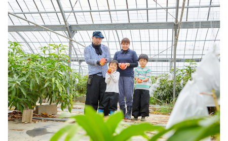 マンゴー【2026年発送先行予約】キーツマンゴー秀品2kg以上