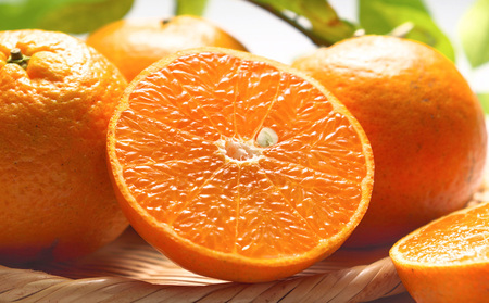 タンカン 【2026年発送】タンカン 約5kg 名護パイン園