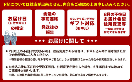 2025年発送　道の駅許田の優品アップルマンゴー　約1kg 完熟 マンゴー アップル 南国 沖縄 フルーツ くだもの 果物 果実 先行予約 産地直送 贅沢 濃厚 スイーツ デザート 旬の果物 贈り物 ギフト プレゼント 贈答用