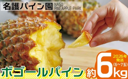 パイン 2026年発送【名護パイン園】ボゴールパイン約6kg（6～7玉） パイン