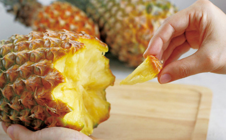 パイン 2026年発送【名護パイン園】ボゴールパイン約6kg（6～7玉） パイン