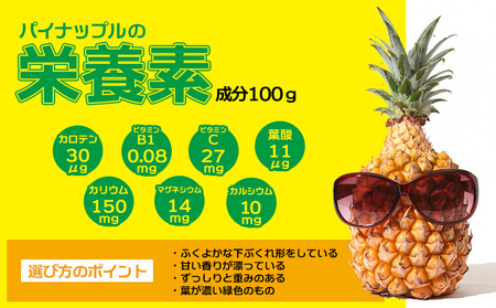 パイン 2026年発送【名護パイン園】ボゴールパイン約6kg（6～7玉） パイン