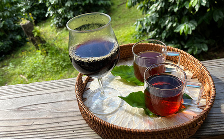 国産（沖縄）【中山コーヒー園】収穫焙煎ツアー3時間（１名様）