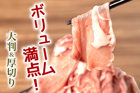 豚肉 切り落とし 2kgセット 小分け 500g×4 訳あり