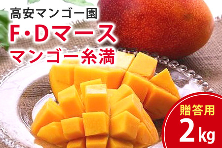 【 先行予約 2026年 発送 】 高安マンゴー園 贈答用 F・Dマースマンゴー糸満 2kg (3~6玉) 沖縄県産 マンゴー アップルマンゴー アーウィンマンゴー 完熟マンゴー 果物 くだもの フルーツ 沖縄 お取り寄せ ギフト 贈答品 産地直送 農家直送 糸満市