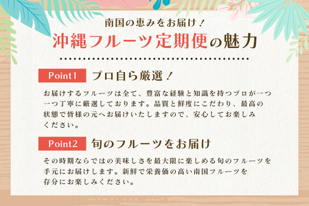 【定期便全4回】沖縄フルーツ定期便 4回 パッションフルーツ マンゴー ドラゴンフルーツ 沖縄バナナ