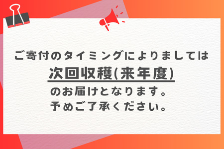 【定期便全4回】沖縄 フルーツ 定期便 4回 パッションフルーツ マンゴー ドラゴンフルーツ フルーツ定期便 沖縄バナナ バナナ 旬 フルーツ 果物 くだもの 完熟マンゴー 沖縄マンゴー 定期便 季節の果物 産地直送 沖縄県 糸満市 178-7