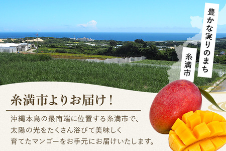 【先行予約 2026年発送】訳ありマンゴー 1kg 沖縄県産 マンゴー 訳あり 1キロ 訳アリ 国産 完熟マンゴー 果物 南国 くだもの フルーツ 完熟 夏 旬 特産品 沖縄 取り寄せ 産地直送 農家直送 甘い 濃厚 糸満市 172-7