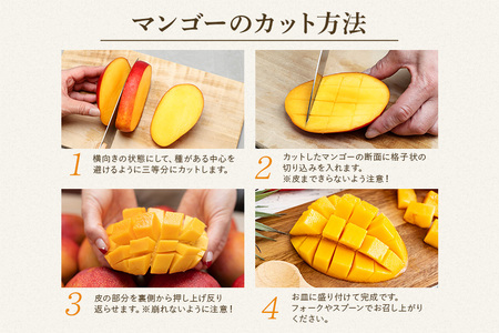 【先行予約 2026年発送】訳ありマンゴー 1kg 沖縄県産 マンゴー 訳あり 1キロ 訳アリ 国産 完熟マンゴー 果物 南国 くだもの フルーツ 完熟 夏 旬 特産品 沖縄 取り寄せ 産地直送 農家直送 甘い 濃厚 糸満市 172-7