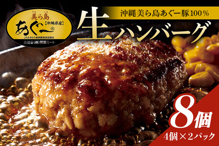 美ら島あぐー ハンバーグ 8個 セット 沖縄県 おかず 惣菜 アグー豚 使用 冷凍 4個×2パック 小分け おいしい 肉 糸満市 国産 肉汁 たっぷり ブランド豚 ジューシー 肉厚 お中元 ギフト プレゼント グルメ おつまみ ディナー オードブル 沖縄県 糸満市