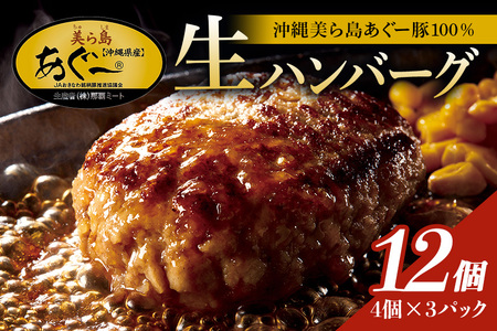 美ら島あぐー ハンバーグ 12個 セット 沖縄県 おかず 惣菜 アグー豚 使用 冷凍 4個×3パック 小分け おいしい 肉 糸満市 国産 肉汁 たっぷり ブランド豚 ジューシー 肉厚 お中元 ギフト プレゼント グルメ おつまみ ディナー オードブル 沖縄県 糸満市