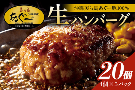 美ら島あぐー ハンバーグ 20個 セット 沖縄県 おかず 惣菜 アグー豚 使用 冷凍 4個×5パック 小分け おいしい 肉 糸満市 国産 肉汁 たっぷり ブランド豚 ジューシー 肉厚 お中元 ギフト プレゼント グルメ おつまみ ディナー オードブル 沖縄県 糸満市