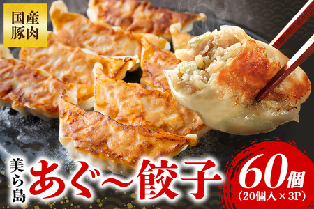 美ら島あぐー餃子 60個セット 20個入×3パック 絶品 こだわり 豚 肉 国産 ごはん おかず お弁当 冷凍 ぎょうざ ギョウザ 小分け BBQ ギョーザ 惣菜 晩酌 ギフト 手作り 生餃子 豚肉 冷凍食品 おつまみ 冷凍餃子 ブランド豚 総菜 中華 焼き餃子 沖縄県 糸満市