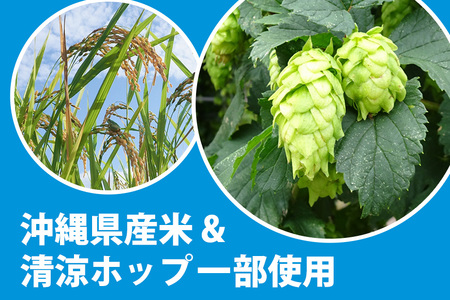 オリオンサザンスター(350ml×24缶)1ケース 沖縄 リキュール 発泡性 ビール BEER orion サザンスター お酒 酒 缶ビール 地ビール オリオン クラフトビール 沖縄ビール アルコール 5％ 缶 家飲み お歳暮 誕生日 お祝い 沖縄県 糸満市