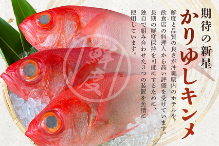 金目鯛出汁茶碗蒸し (260g×3パック) キンメダイ 鯛 タイ たい 冷凍 取り寄せ 贈答 ギフト 産地直送 海産物 加工品 海の幸 魚 さかな 沖縄 糸満 金目鯛 出汁 だし 茶碗蒸し 海鮮 料理 沖縄県 糸満市