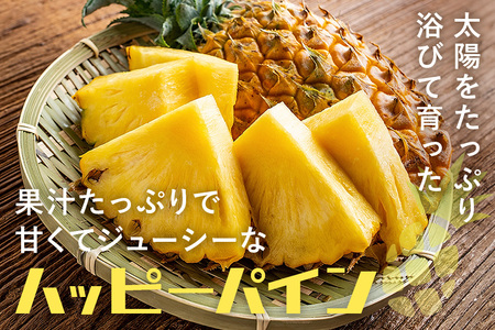 【2026年発送】パイナップル ハッピーパイン1玉 幻のパイナップル