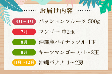 フルーツ 定期便 全 5回 名護パイン園 マンゴー バナナ パッション ドラゴンフルーツ パイナップル