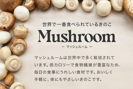 マッシュルーム New Balance 993 Made in USA Mushroom - Sep 2024 - U993MU