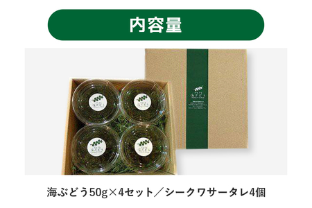 朝採れ! ぷちぷち 海ぶどう 小分け セット 200g 沖縄県産 海ブドウ たれ付き 無着色 沖縄 特産品 沖縄グルメ 海の宝石 海藻 海ぶどう丼 サラダ おつまみ おかず 沖縄料理 常温保存 贈答用 ギフト 産地直送 沖縄県 糸満市