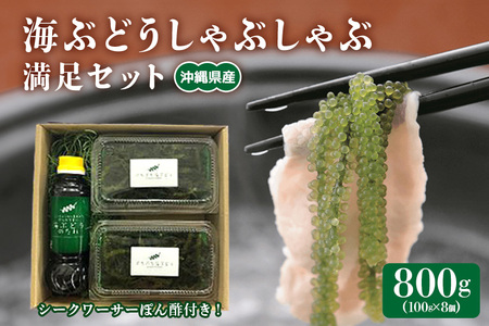 海ぶどう しゃぶしゃぶ 満足 セット 海ブトウ 100g×8個 シークワーサー塩ぽん酢 1本 シークワーサーぽん酢 1本 沖縄県産 沖縄 特産品 沖縄グルメ 沖縄料理 常温保存 シークワーサー ポン酢 ポン酢 産地直送 沖縄県 糸満市