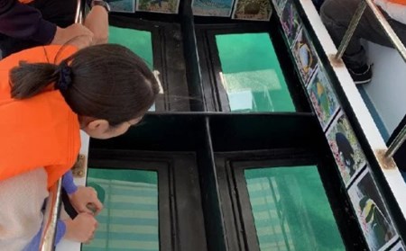 体験乗船券 糸満のサンゴを見に行く グラスボート 親子ペア 大人1名小人1名 沖縄県糸満市 ふるさと納税サイト ふるなび