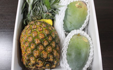 21年発送 山城マンゴー屋のマンゴーとパイン旬のフルーツセット キーツマンゴー ゴールドバレル 沖縄県糸満市 ふるさと納税 サイト ふるなび