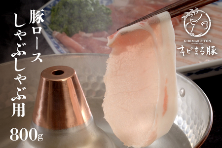【沖縄県ブランド豚】『キビまる豚』 豚ロース しゃぶしゃぶ用 800g ロース しゃぶしゃぶ 豚肉 沖縄県産 豚肉 豚 薄切り しゃぶしゃぶ用 鍋用 お鍋 ブランド豚 沖縄産 ポーク アミノ酸 産地直送 冷凍 お肉 国産 沖縄県 糸満市 10,500円