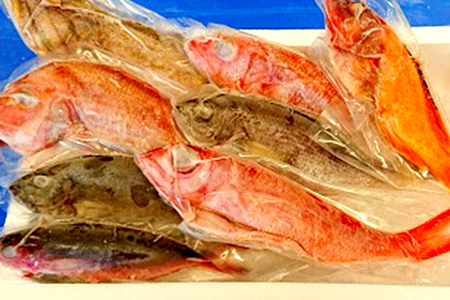 【産地直送】【漁師まちの鮮魚店厳選】おまかせ鮮魚セット（約4kg）