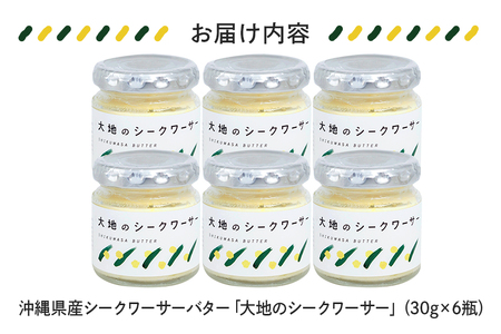 沖縄県産 シークワーサーバター「大地のシークワーサー」6瓶入り フルーツバター シークワーサー 沖縄 果物 バター ジャム 朝食 フルーツ パン デザート スイーツ 酸味 甘み ギフト プレゼント 沖縄県 糸満市