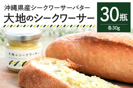 【大容量セット】 沖縄県産 シークワーサーバター「大地のシークワーサー」 30瓶入り フルーツバター シークワーサー 沖縄 果物 バター ジャム 朝食 フルーツ パン デザート スイーツ 酸味 甘み ギフト プレゼント 大容量 セット 沖縄県 糸満市