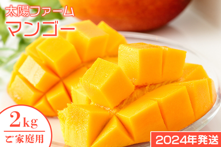 【2024年発送】農家直送！太陽ファームのマンゴー2kg（ご家庭用）