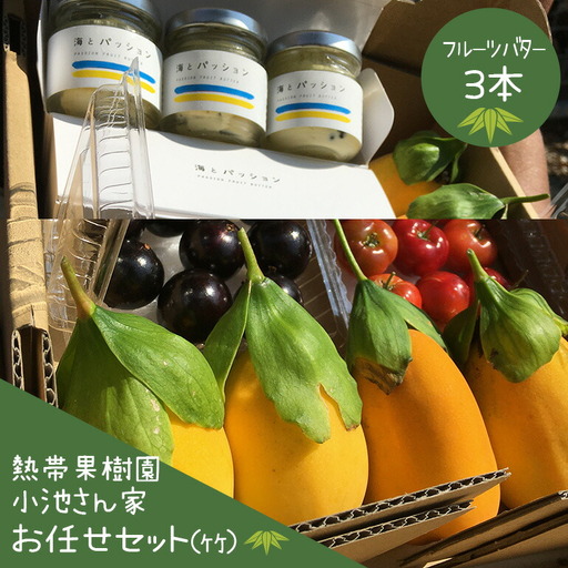 【先行予約 2026年 発送】熱帯果樹園小池さん家 お任せ セット （竹） フルーツバター 大瓶 3個入り 沖縄 旬 フルーツ 薬味 ハーブ 野菜 ナッツ お任せセット 果物 バター 詰め合わせ パッションフルーツ マンゴー ライチ 旬の果物 おまかせ