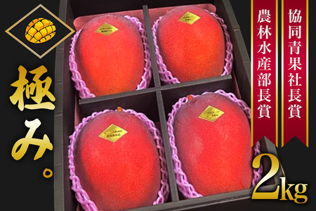 【 先行予約 2026年 発送 】 沖縄県産 マンゴー 『極み。』2kg 山城マンゴー屋 アップルマンゴー アーウィンマンゴー 国産 完熟マンゴー 果物 南国 くだもの フルーツ 完熟 夏 旬 沖縄 お取り寄せ 産地直送 農家直送 甘い 濃厚 糸満市