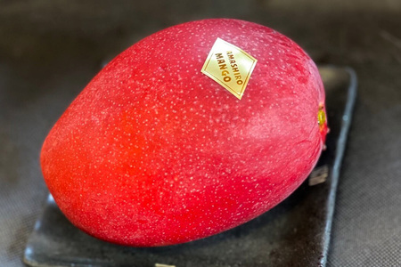 【 先行予約 2026年 発送 】 沖縄県産 マンゴー 『極み。』2kg 山城マンゴー屋 アップルマンゴー アーウィンマンゴー 国産 完熟マンゴー 果物 南国 くだもの フルーツ 完熟 夏 旬 沖縄 お取り寄せ 産地直送 農家直送 甘い 濃厚 糸満市