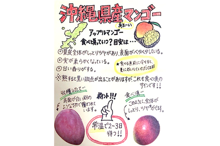 【2024年発送】沖縄マンゴー農園マサヒロファームのアーウィンマンゴー（贈答用）1kg