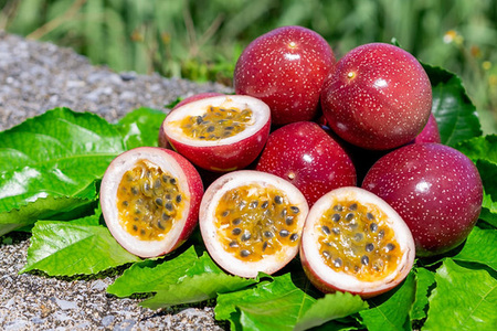 【先行予約 2026年発送】沖縄情熱農園 農薬不使用栽培 パッションフルーツ 「情熱の女神」 1kg (エコ箱) 沖縄 家庭用 甘味 酸味 追熟 フルーツ 果物 トロピカル 南国 スイーツ デザート βカロテン ビタミン 葉酸 国産 糸満市