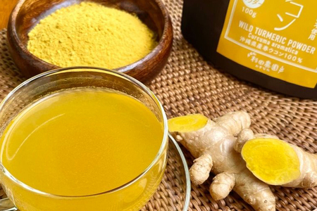 沖縄県 糸満産 春ウコン 粉末 200g ( 100g x 2個 ) セット ウコン 栽培期間中農薬除草剤不使用 粉末タイプ うこん 姜黄 キョウオウ ウコンパウダー パウダー 粉 ウコン粉末 お酒 アルコール 肝臓 ターメリック クルクミン 健康食品 沖縄県 糸満市