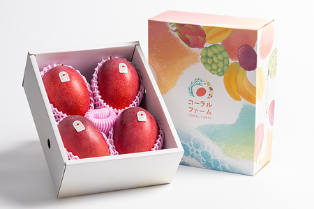 【 先行予約 2026年 発送 】コーラルファーム アップルマンゴー 2kg (4～6玉) 優品 沖縄県産 マンゴー アーウィンマンゴー 2キロ 国産 完熟マンゴー 果物 くだもの フルーツ 完熟 夏 沖縄 お取り寄せ ギフト 産地直送 農家直送 糸満市