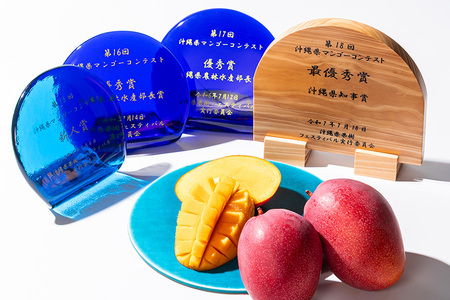 先行予約 2026年 発送 】コーラルファーム アップルマンゴー 2kg (4～6