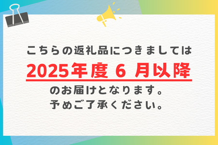 【 先行予約 2026年 発送 】 かねよしマンゴーの甘くとろける マンゴー 1.5kg ( 贈答用 ) 沖縄県産 アップルマンゴー アーウィンマンゴー 国産 果物 くだもの フルーツ 完熟 沖縄 お取り寄せ ギフト 贈答品 贈り物 産地直送 農家直送 糸満市