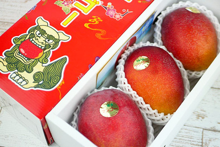 先行予約 2026年 発送 】 伊敷さん家の美味しい 完熟マンゴー 1kg ( ご