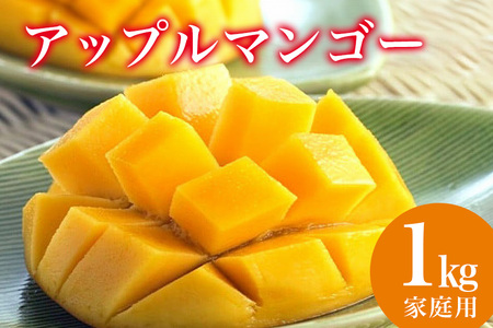 【 先行予約 2026年 発送 】 縁sファームの アップルマンゴー 家庭用 1kg 沖縄県産 マンゴー アーウィンマンゴー 1キロ 国産 完熟マンゴー 果物 南国 くだもの フルーツ 完熟 夏 旬 特産品 沖縄 お取り寄せ 産地直送 農家直送 甘い 濃厚 糸満市