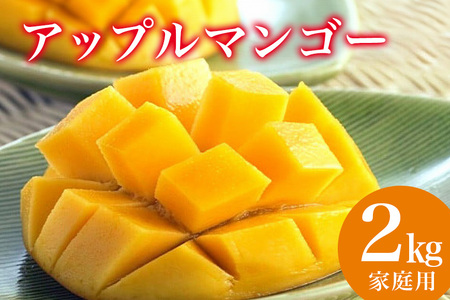 【 先行予約 2026年 発送 】 縁sファームの アップルマンゴー 家庭用 2kg 沖縄県産 マンゴー アーウィンマンゴー 2キロ 国産 完熟マンゴー 果物 南国 くだもの フルーツ 完熟 夏 旬 特産品 沖縄 お取り寄せ 産地直送 農家直送 甘い 濃厚 糸満市