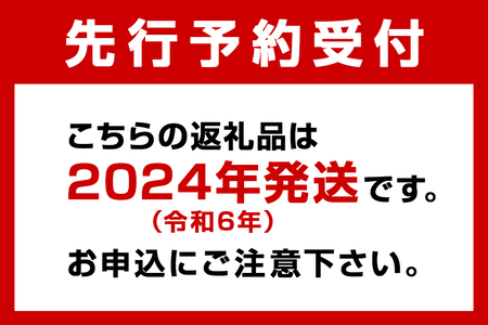 2024年発送】金城さんが育てた 沖縄県産パッションフルーツ 1kg | 沖縄