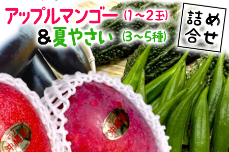 【2024年発送】沖縄産　アップルマンゴー(1～2玉)＆夏野菜(3～5種)の詰め合わせ