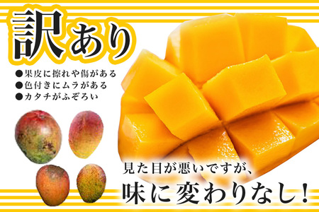 【2024年発送】訳あり！沖縄県糸満産　かねよしマンゴーのマンゴー2kg