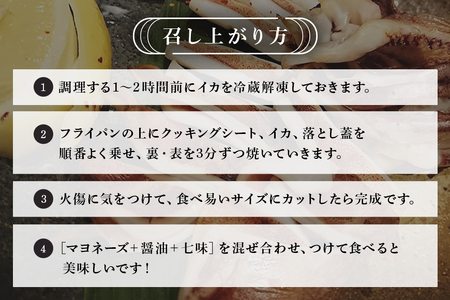 イカ 干物 5枚 セット ソフト 干し ふっくら 冷凍保存 調味料 保存料 無添加 海人 漁師 いか トビイカ ひもの 美味しい 冷凍 お酒 の おつまみ おかず いか焼き 炙り 焼き 海鮮 料理 沖縄 沖縄県 糸満市